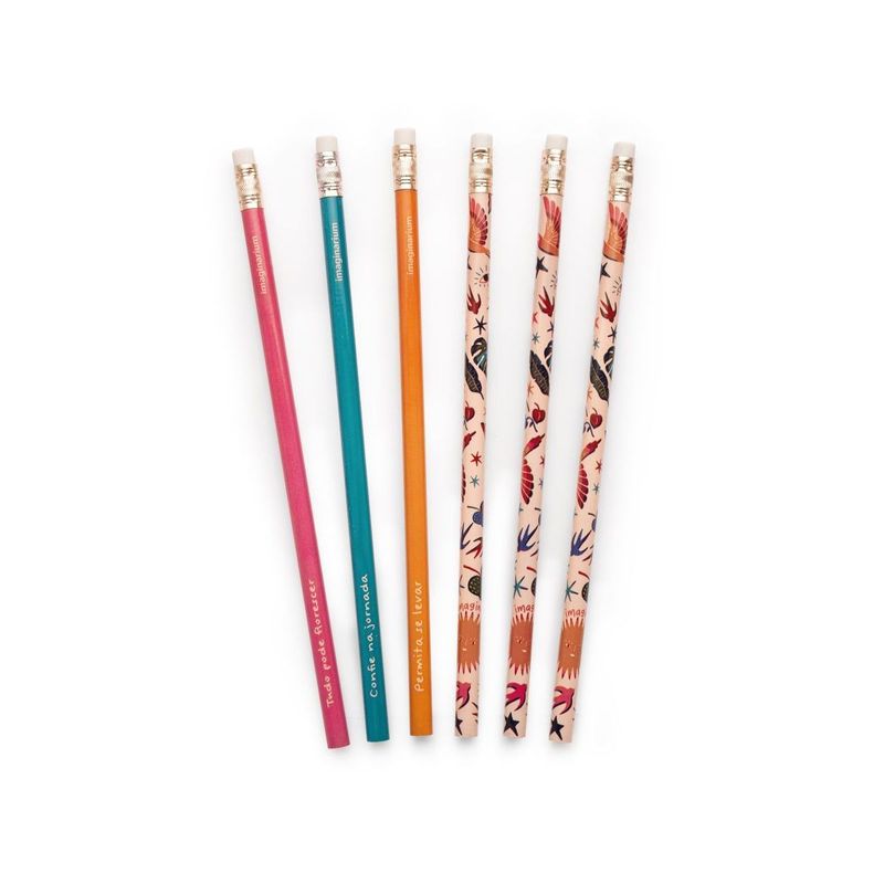 Conjunto de Lápis Tudo Pode Florescer