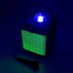 Karaoke Portatil 2 Mic Alto e Bom Tom