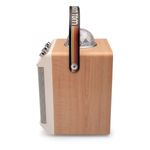 Karaoke Portatil 2 Mic Alto e Bom Tom