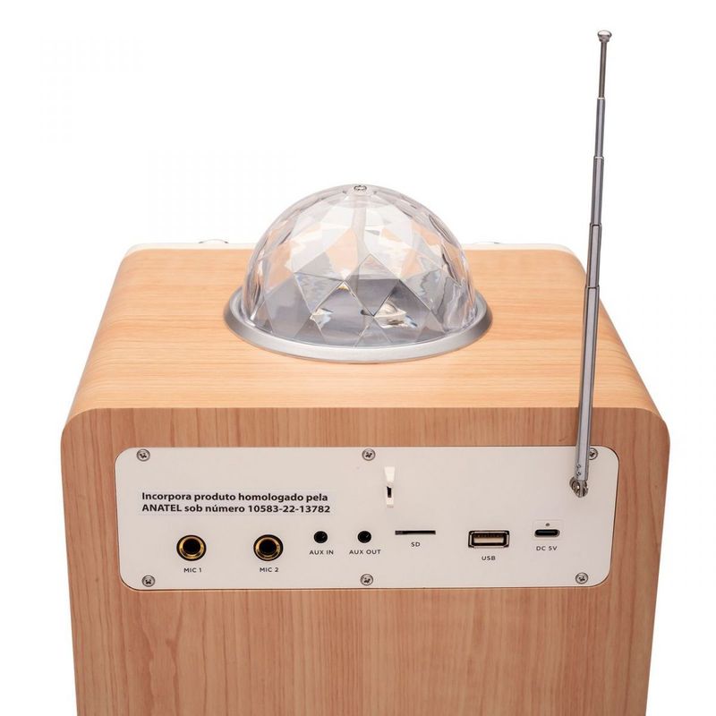 Karaoke Portatil 2 Mic Alto e Bom Tom