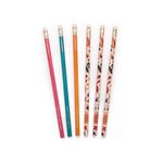 Conjunto de Lápis Tudo Pode Florescer