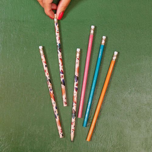 Conjunto de Lápis Tudo Pode Florescer