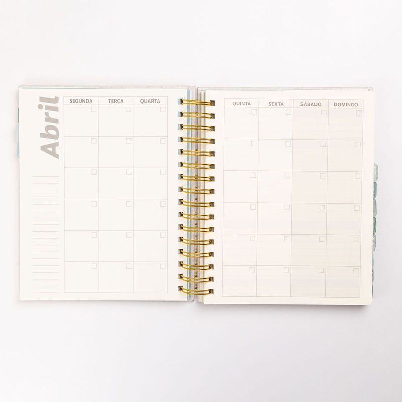 Planner Esse é O Meu Ano