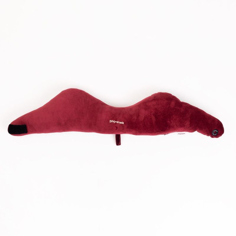 Almofada Massageadora Aquecedor Spa