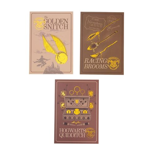 Kit Com 3 Cadernos HP Hogwarts