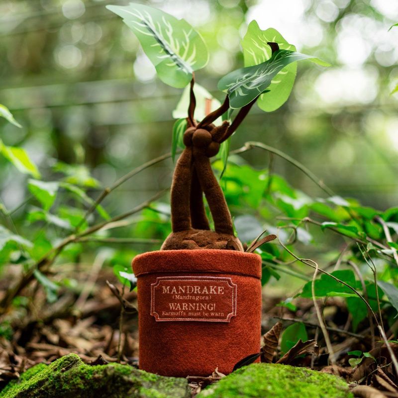 Almofada Com Som Mandragora Harry Potter