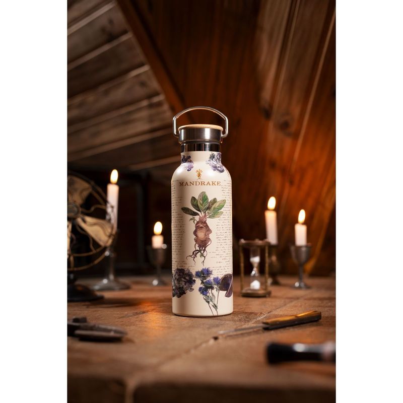 Garrafa Térmica Hp Mandragora