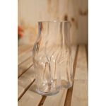 Vaso-de-vidro-corpo-transparente