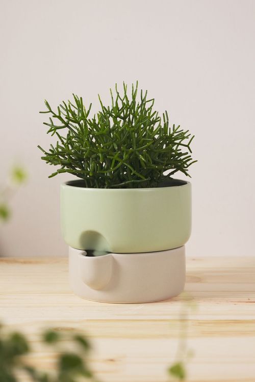 Vaso autoirrigavel em ceramica verde