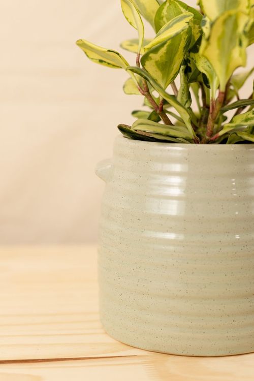 Vaso glaze verde m