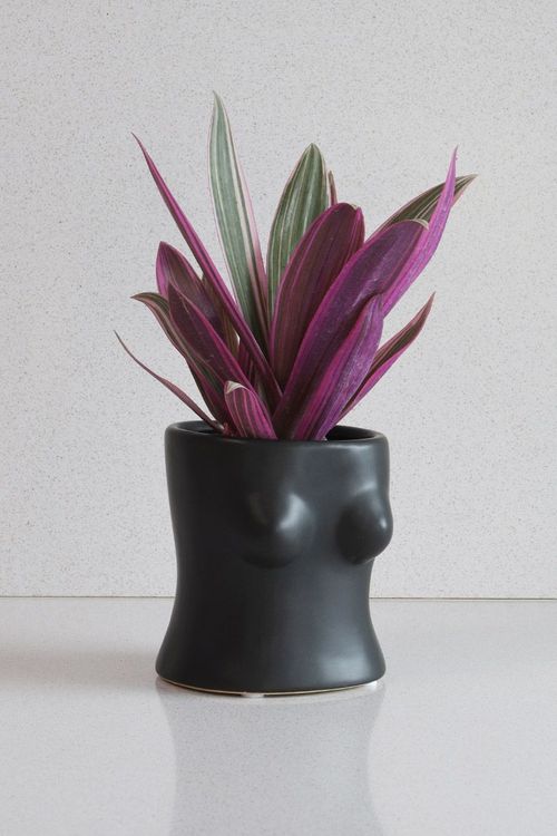Vaso Busto Preto