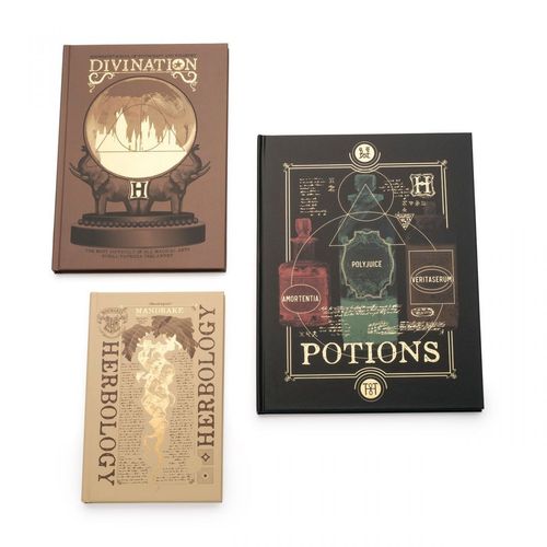 Kit de Cadernos Harry Potter Materias de Hogwarts