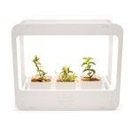 Plantario-Indoor-com-Led-Horta-da-Casa