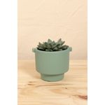 Vaso-fosco-verde-p