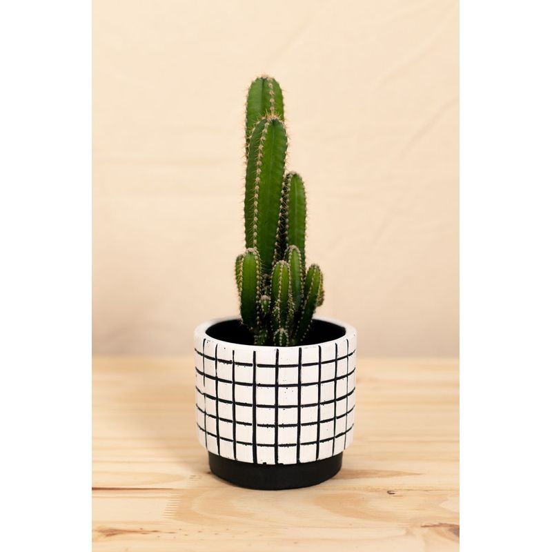 Vaso-grid-p-branco