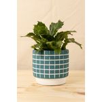 Vaso-grid-petroleo-m