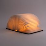 Luminaria-Livro-Maior