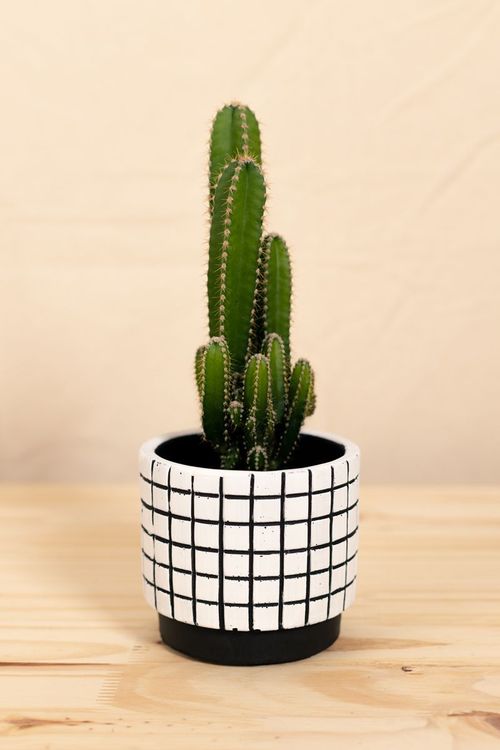 Vaso grid p branco